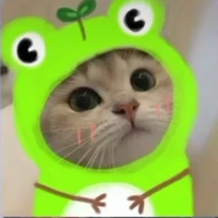 thaycutekhong
