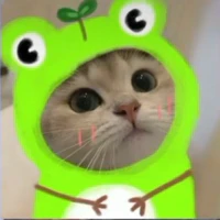 thaycutekhong
