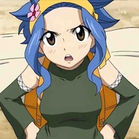 Levy Mcgarden 