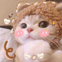 Mèo con ( becky )