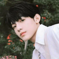 Trương Trạch Vũ
