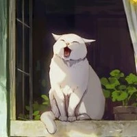 Bông Sữa Trắng