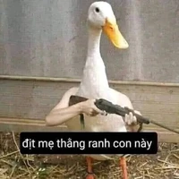 nhóm quỷ