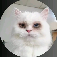 con tác giả lười biếng