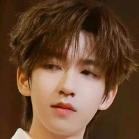 Hạ Tuấn Lâm