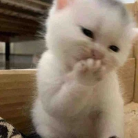Tác giả