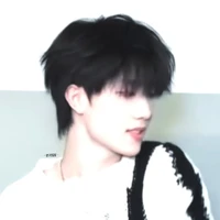 Tô Tân Hạo ( cậu )