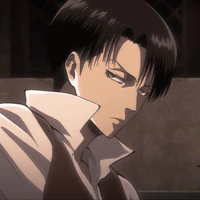 Levi