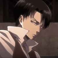 Levi