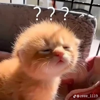 Đoán xem là ai nào