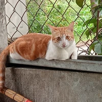 Bà tác giả