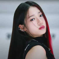 Lee Dain
