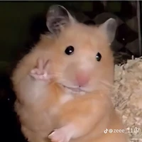 t/g