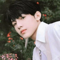 Trương Trạch Vũ