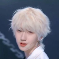 Hạ Tuấn Lâm