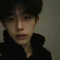 Chu Hoàng Anh