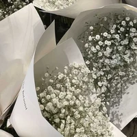 Con ngừi lười ra chap=)))