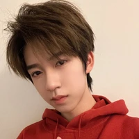 Hạ Tuấn Lâm_TL
