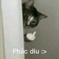 cô tác giả hiền hòa