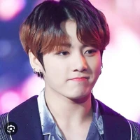 Jeon Jung kook