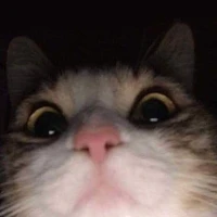 Quễ tác giả cư tê