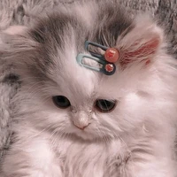 Tiểu Nhiên Nhiên