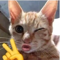 Tác giả mõ hỗn