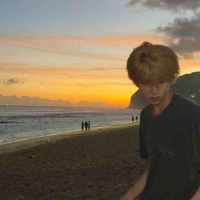 Hàn Kim Ngưu _ngutaurus_