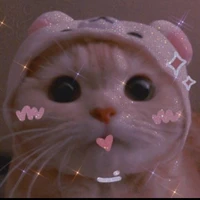 Tui là tác giả đây