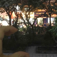 con tác giả báo đời