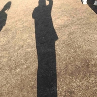 Tác giả “siêng năng”_Sun