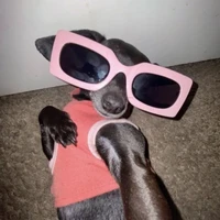 T/g kbplsatskbplsecnmcttgatbl