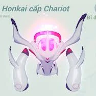 Honkai (đa chủng loại)