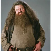 Rubeus Hagrid