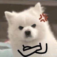 con tác giả :>