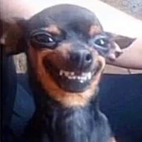 Bí mật chưa được bật mí