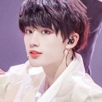 Đinh Trình Hâm (cậu)