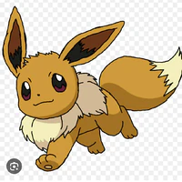 Eevee(Hakari)