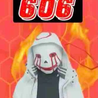 Error sans 606