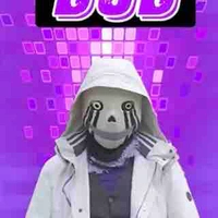 Error sans 505