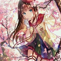 Hàn Đình Anh_Anser