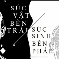 Nhân vật phụ tổng hợp