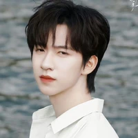Hạ Tuấn Lâm