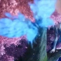 Nhưng Bươm Bướm