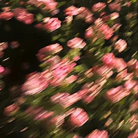 NV phụ - khu tự trị -