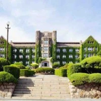 comfession trường star