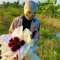Error Sans 707
