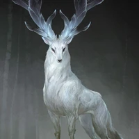 Vân Vụ Tinh Lộc