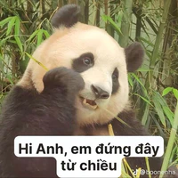 Tác giả