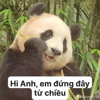 Tác giả